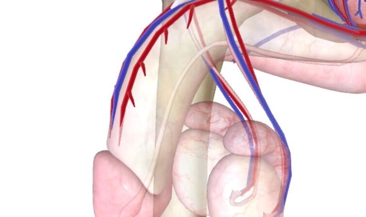 Канткенде потенциалды көтөрүү керек